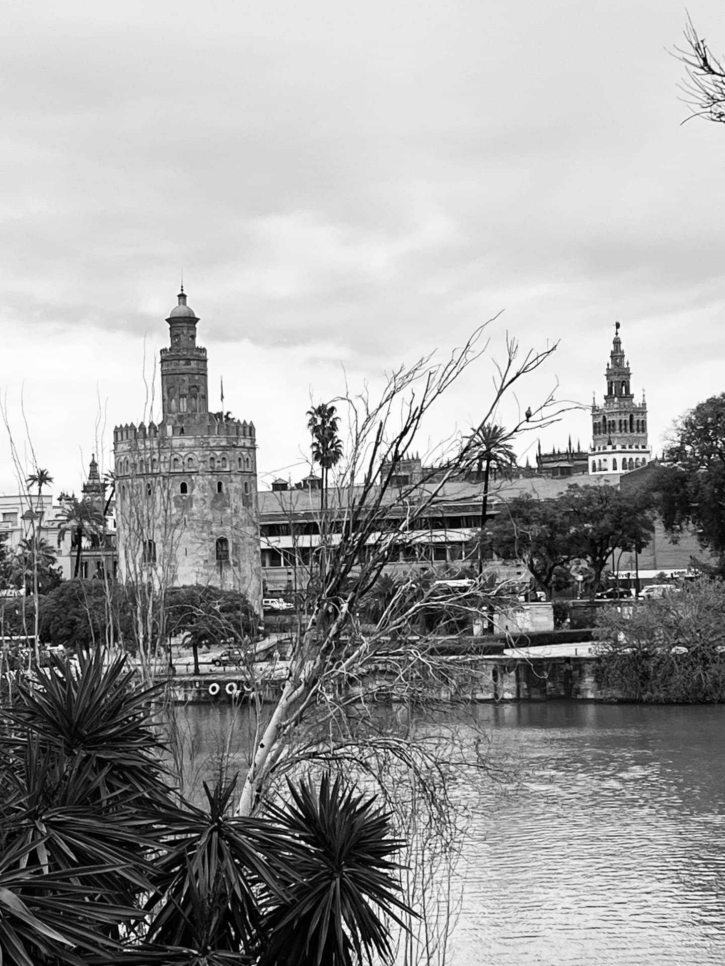 Vista del Guadalquivir con la Torre del Oro y la Giralda, Sevilla