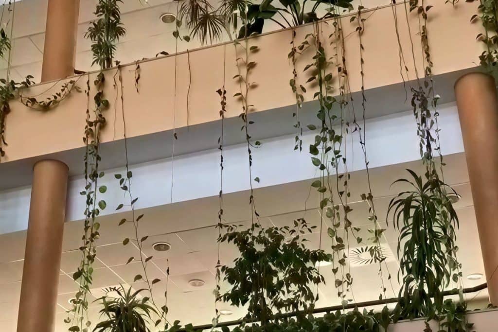 Atrium of the Centris building, headquarters of Vaguada Capital