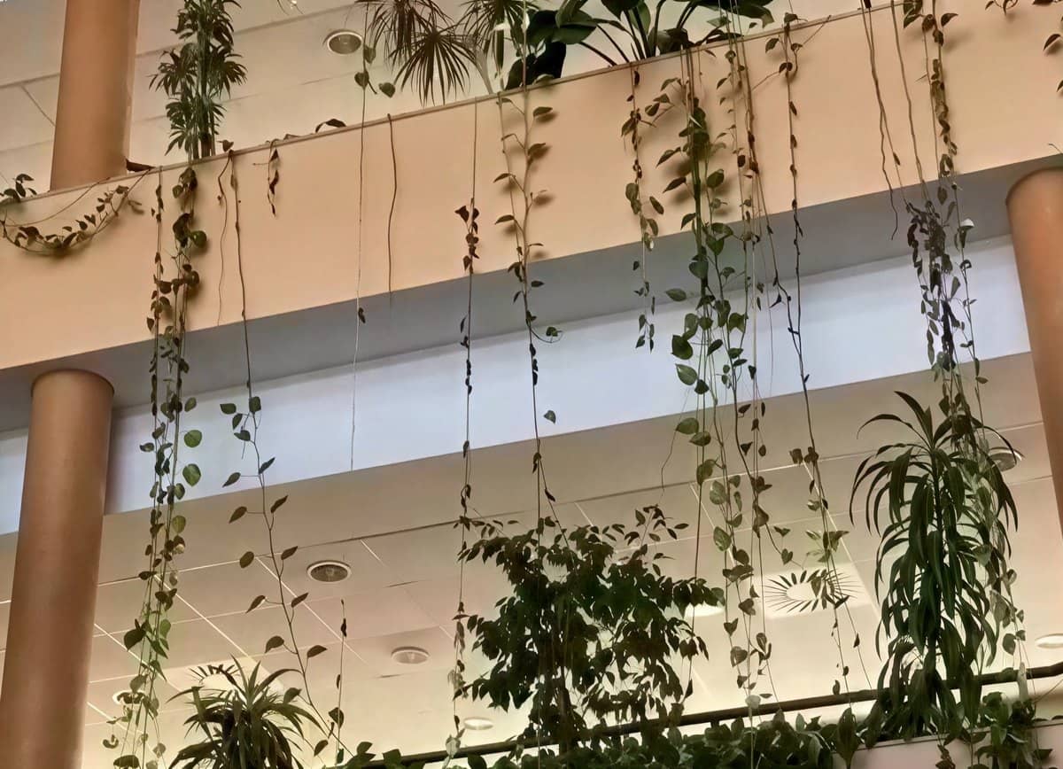 Atrio del edificio Centris, sede de Vaguada Capital en Tomares