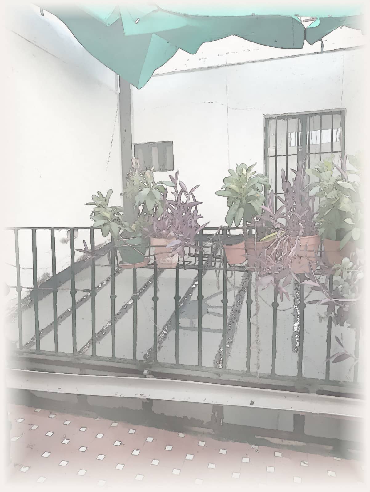 Ilustración en acuarela del patio con plantas